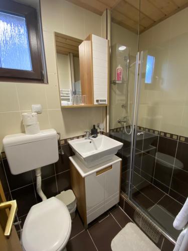 La salle de bains est pourvue de toilettes, d'un lavabo et d'une douche. dans l'établissement Rada Guest House, aux lacs de Plitvice