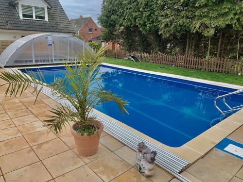 a palm plant in a pot next to a swimming pool at Familie Decker-Behrends in Upleward