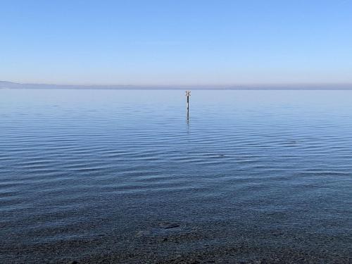 a pole in the middle of a large body of water at Alte Konditorei in Lindau