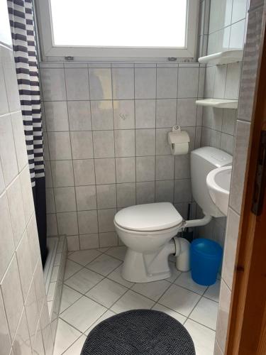a small bathroom with a toilet and a sink at Pension Lausa in Lausa