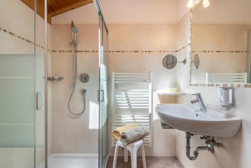 a bathroom with a sink and a shower at Huberhof Appzimmer in Feldthurns