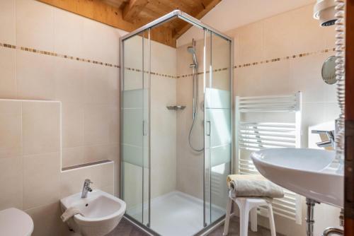 a bathroom with a glass shower and a sink at Huberhof Appzimmer in Feldthurns