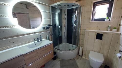 a bathroom with a shower and a sink and a toilet at Domek nad Czerwienią in Przesieka