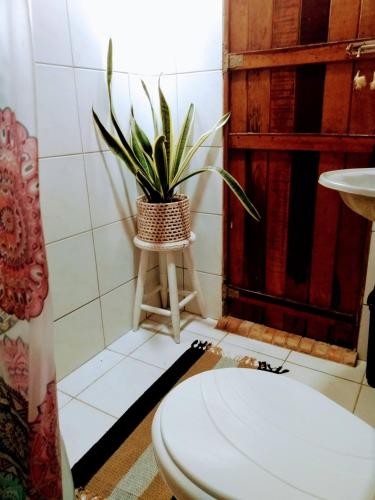 a bathroom with a toilet and a plant on a stool at Casa da Peroba Sol - Pé na Areia - Praia da Peroba - Icapuí in Icapuí