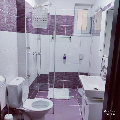 a bathroom with a shower and a toilet and a sink at WhiteHouse in Popeşti-Leordeni