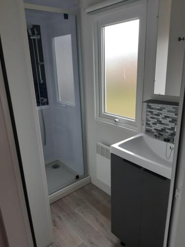 une salle de bain avec un lavabo et une fenêtre dans l'établissement GUIG99 camping les dunes de Contis, à Saint-Julien-en-Born