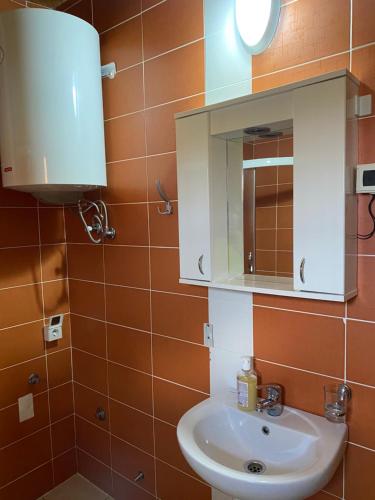 a bathroom with a sink and a mirror at Apartments Anđela in Žabljak