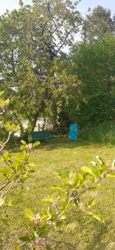 uma cadeira azul sentada na relva debaixo de uma árvore em Au Lutin Pommé - Maison de vacances Bretagne em Mellé