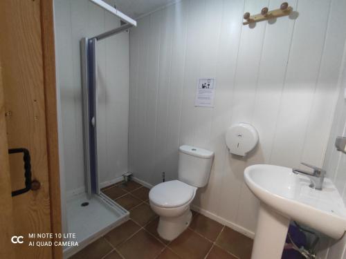 a bathroom with a toilet and a sink and a shower at Albergue Villa San Clemente in Tui