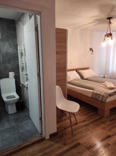 a bedroom with a bed and a chair and a toilet at Casa al Tagas in Kruševo