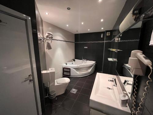 a bathroom with a sink and a toilet and a tub at Vila Srbija Beograd in Meljak