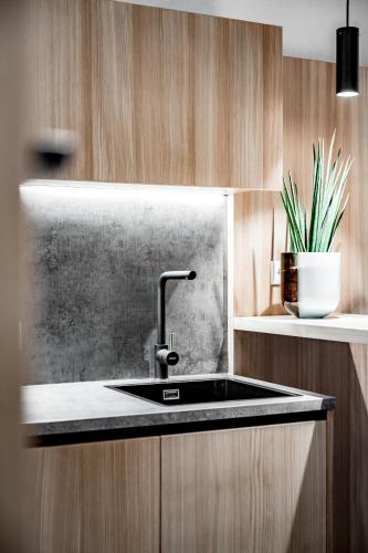 a kitchen with a sink and a potted plant at Hotel Andy 4 Sterne Superior in Jerzens