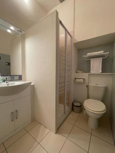 a bathroom with a toilet and a sink at Le Manoir du Raveyron in Vallon-Pont-dʼArc