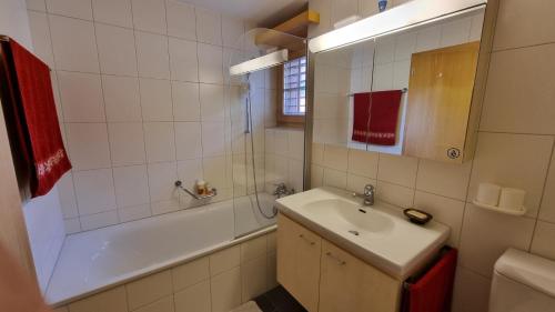 a bathroom with a sink and a shower and a tub at Snow+Surf B&B in Lauenen