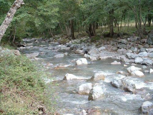 a river with rocks and trees in a forest at Soprattutto in Montalbano Jonico
