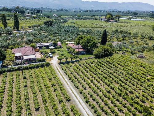 A bird's-eye view of Authentic Country House in Zakynthos