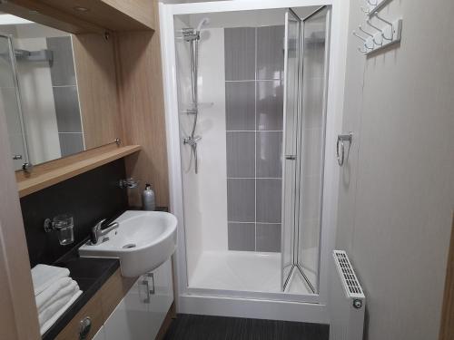 a bathroom with a shower and a sink at The Meadows New Beach Holiday Park in Kent