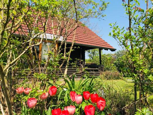 a group of red tulips in front of a house at Eifel-Lounge BLOCKHAUS mit Kamin Garten Balkon nahe Köln Therme Brühl Phantasialand in Weilerswist