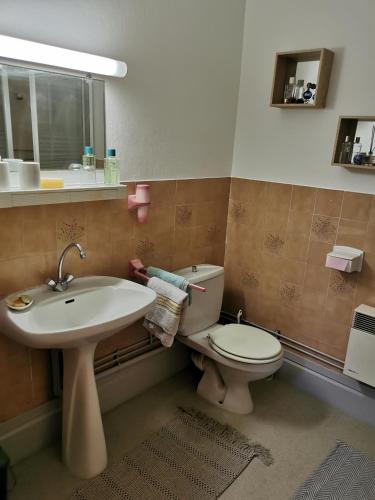 une salle de bain avec un lavabo et des toilettes dans l'établissement Maison de bourg dans le Cantal, à Champagnac
