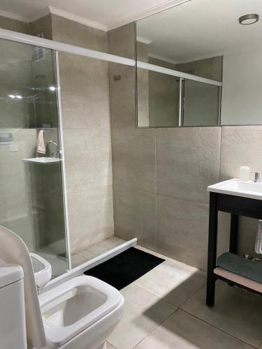 a bathroom with a shower and a toilet and a sink at Moderno monoambiente con vista al Río in Rosario