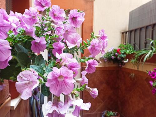 Apartamento La Reina