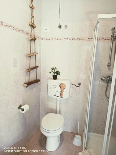 a bathroom with a toilet and a shower at B&B Franciacorta in Castrezatto