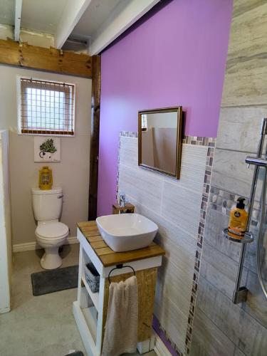 a bathroom with a sink and a toilet and a mirror at Penelope Selfcatering Apartment in Wilderness