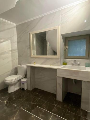a bathroom with a toilet and a sink and a mirror at FOTIS HOUSE in Koroni