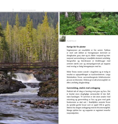 a page of a magazine with a picture of a river at 16 - Fulufjellets nasjonalparker - snø - alpint - langrenn - snøscooter in Ljørdal