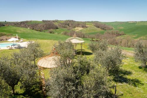 a gazebo in the middle of a field with trees at Podere Sant'Antonio in Asciano