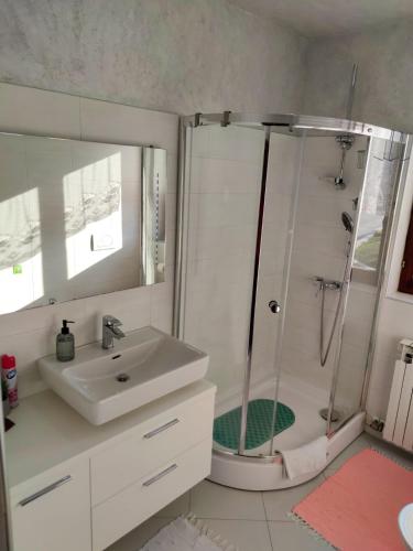 a bathroom with a shower and a sink at Farm stay Synergia - Hiden treasure in Pazin