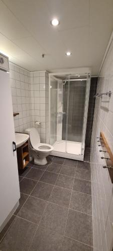 a bathroom with a shower and a toilet and a sink at Stöten Mitt Apartment, Sälen in Sälen