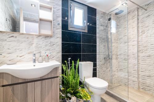 uma casa de banho com um lavatório, um WC e um chuveiro em Villa En Elladi em Alikanás