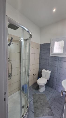 a bathroom with a glass shower and a toilet at Villa Kipourio in Ipsos