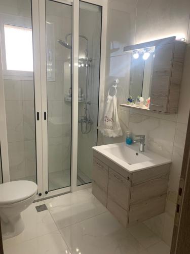 a bathroom with a shower and a sink and a toilet at KOS SUITE HOME in Platánion