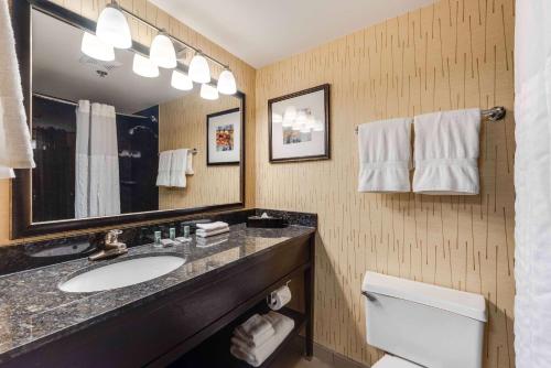 Kúpeľňa v ubytovaní Best Western Chicago - Downers Grove