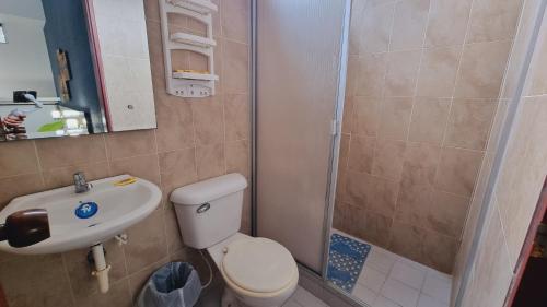 a bathroom with a toilet and a sink and a shower at Magdalena Imperial Hotel By GHO Hoteles in Girardot