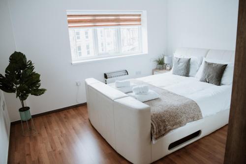 Flat 5 Lovely 1-bedroom flat in Liverpool photo 7