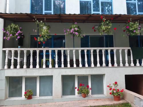 un balcone con fiori in vasi su un edificio di Casa Albastra a Drumu Carului