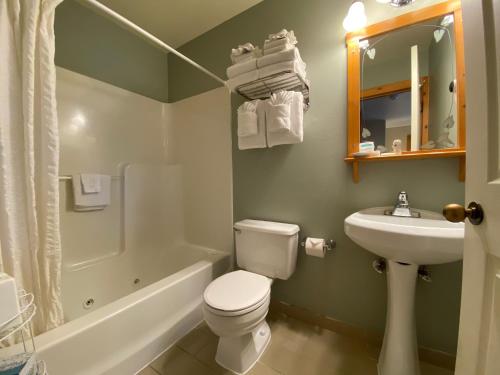 a bathroom with a white toilet and a sink at Lighthouse Inn in Cannon Beach