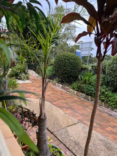 Un jardín fuera de JOHN HUNTER B&B