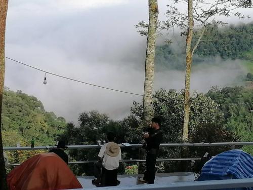 a group of people taking pictures of a misty forest at Ban Chomdoi Resort PhaTang in Ban Pha Tang