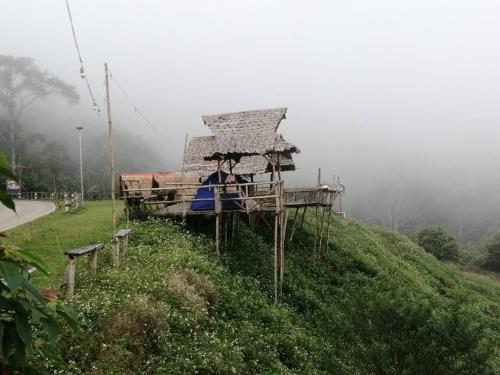 a pier with people sitting under an umbrella on a hill at Ban Chomdoi Resort PhaTang in Ban Pha Tang