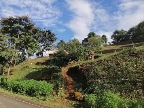a dirt road on a hill with a house on it at Ban Chomdoi Resort PhaTang in Ban Pha Tang