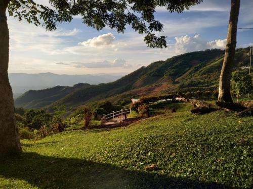 a grassy hill with a view of a valley at Ban Chomdoi Resort PhaTang in Ban Pha Tang