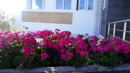 a flower bed of pink flowers in front of a building at Salora Kodai in Kodaikānāl