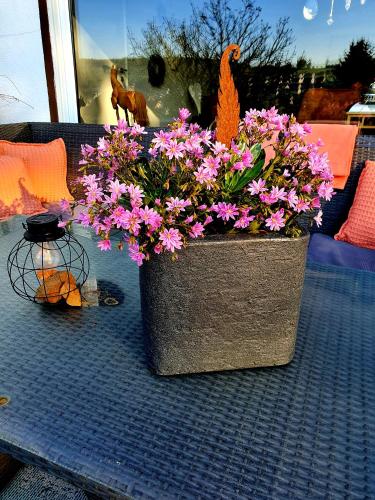 a pot of flowers sitting on a table at 2 Zimmer Domizil am Südhang mit Terrasse und Pool in Ortenberg