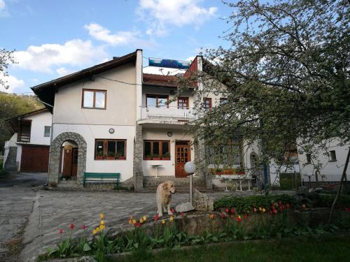 einem Hund, der vor einem Haus steht in der Unterkunft Самостоятелни стаи в къща за гости Балкан in Ribarica