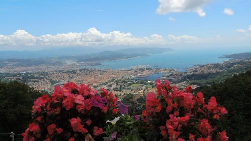 Gallery image of Vista da Sogno in La Foce