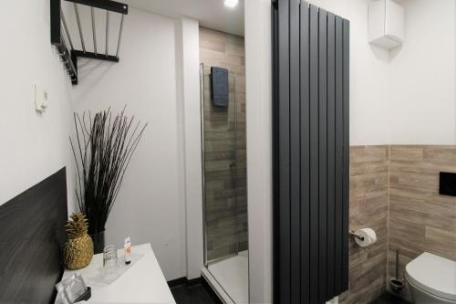 a bathroom with a shower and a toilet and a sink at MY HOME Hotel Lamm Rottweil "Smart Home" in Rottweil